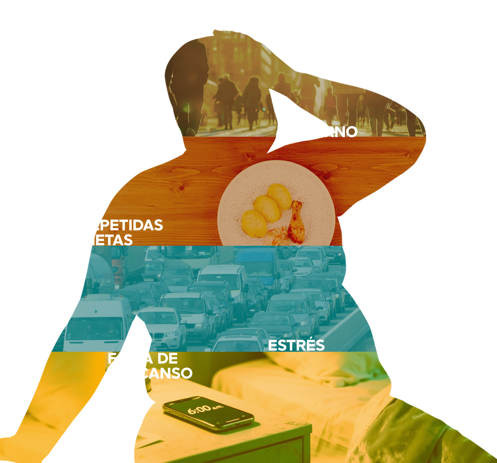 Entorno - Dietas rerepetidas - Falta de descanso - Estrés